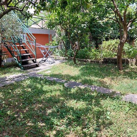 Garden Apartmant Near Sea Kotor Dış mekan fotoğraf