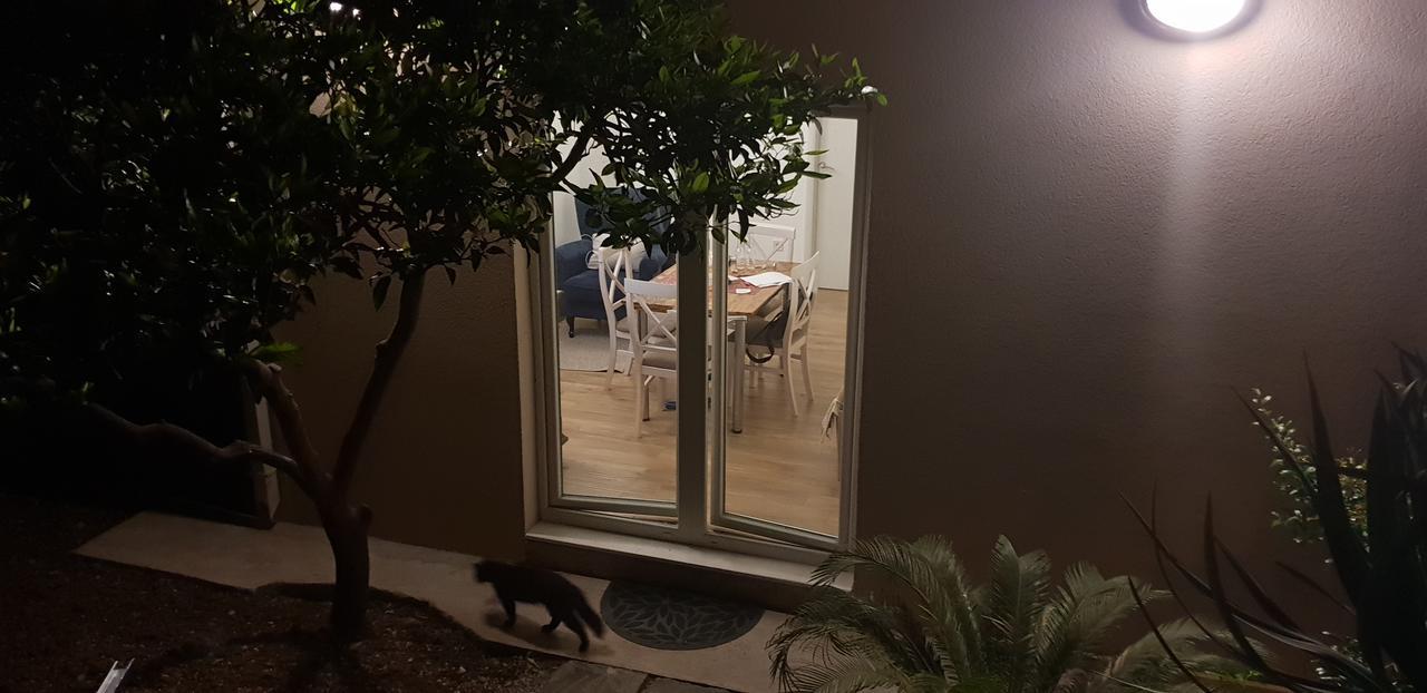 Garden Apartmant Near Sea Kotor Dış mekan fotoğraf