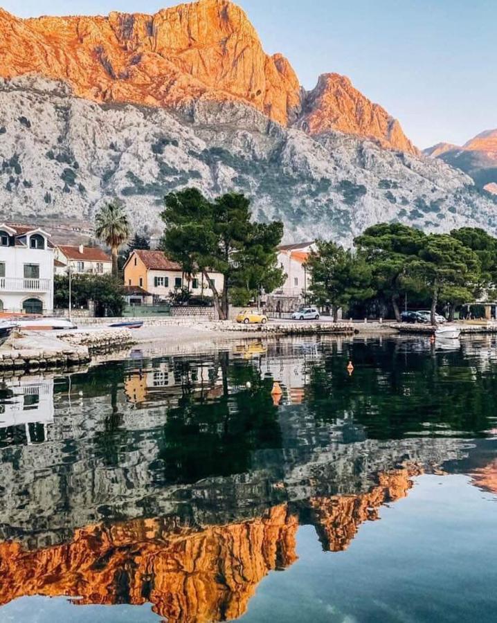 Garden Apartmant Near Sea Kotor Dış mekan fotoğraf